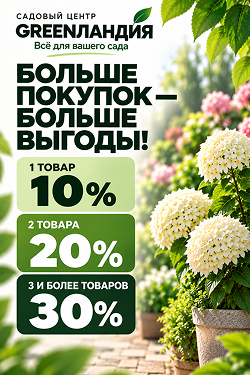 🌿 Больше покупок — больше скидок! 🌿 Больше покупок — больше скидок!